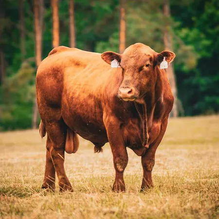 Statek Adámek Apartamento