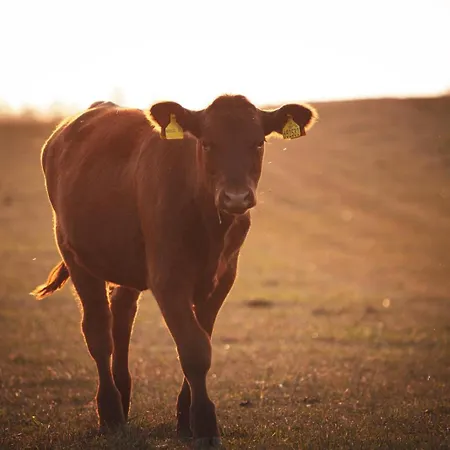 Apartamento Statek Adámek