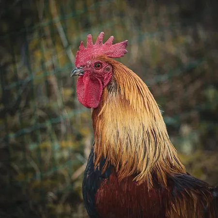 Statek Adámek Apartamento