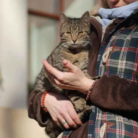 Statek Adámek Apartamento Borotice