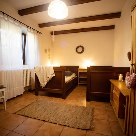 Apartment Statek Adamek Borotice
