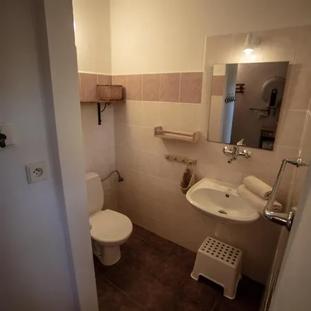 Statek Adamek Apartment Borotice