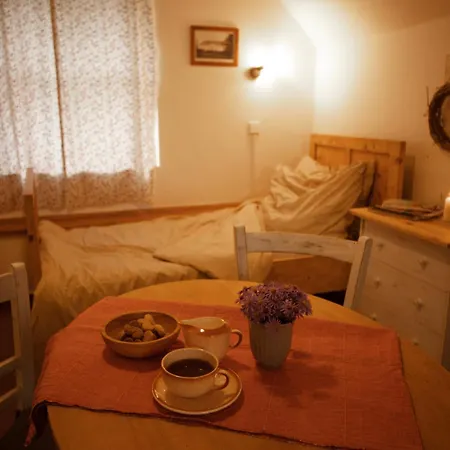 Statek Adámek * Borotice