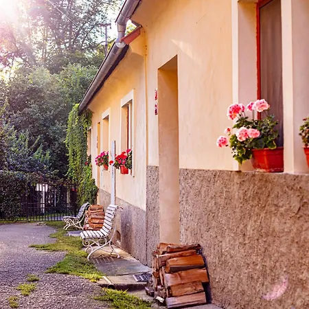 Statek Adamek Apartment Borotice