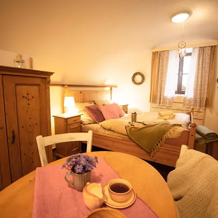 Apartment Statek Adamek Borotice