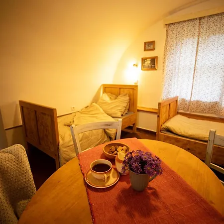 Statek Adámek Borotice