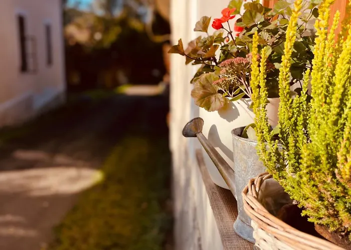 Statek Adamek アパート