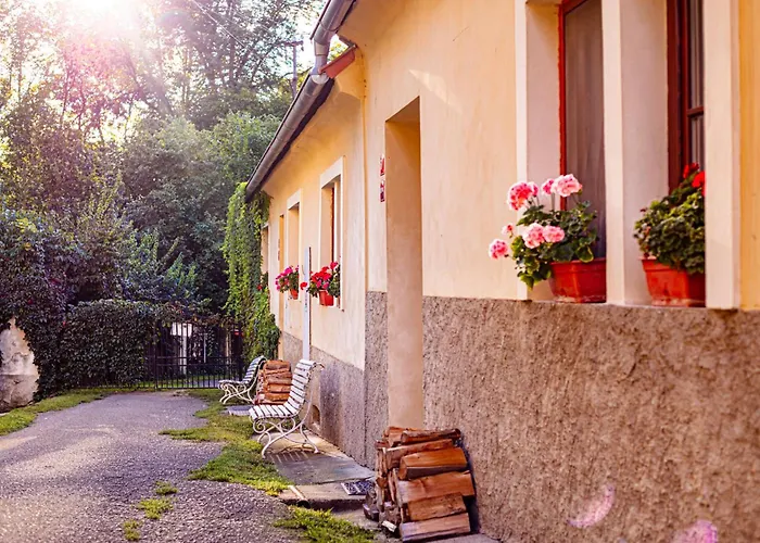 Statek Adamek アパート Borotice